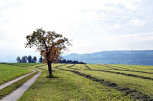 66956_8.jpg