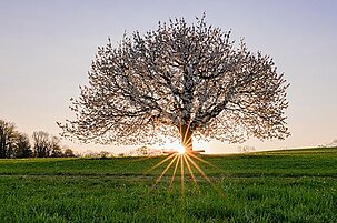 91139_8.jpg