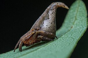 63526_8.jpg