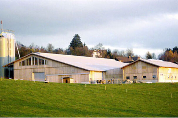 7350_8.jpg