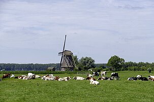 7e22e40b-1036-e2d0-4000-110814c32014-131613.jpeg