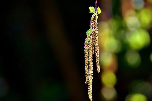 80738_8-1.jpg