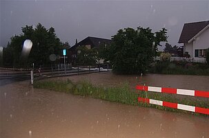 34243_8.jpg