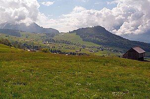 62234_8.jpg