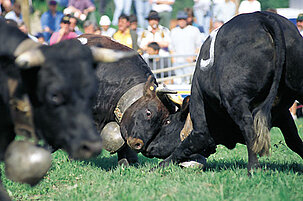 6764_8.jpg