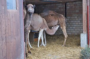 45959_8.jpg