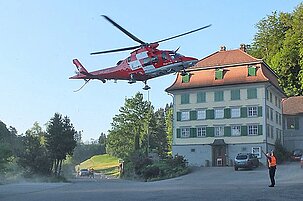 49064_8.jpg