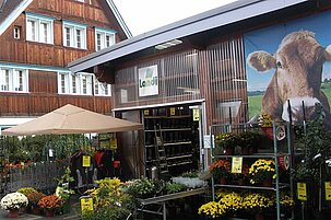 53790_8.jpg