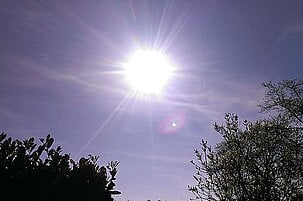 57636_8.jpg