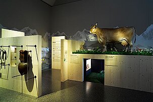 64335_8.jpg