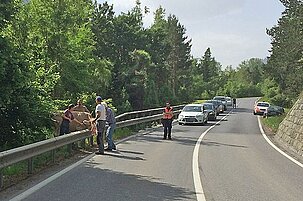 40955_8.jpg