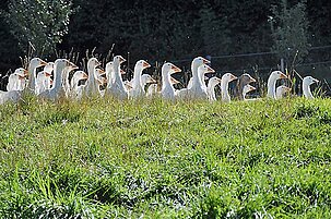 57875_8.jpg