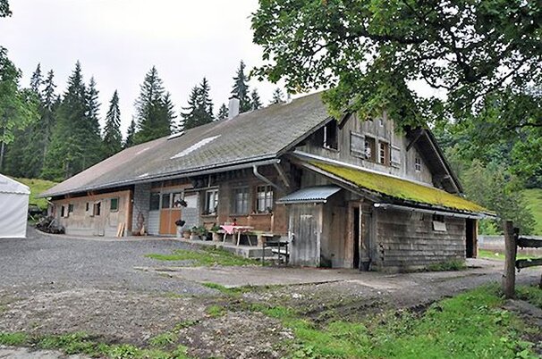 65950_8.jpg
