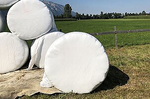 92955_8.jpg