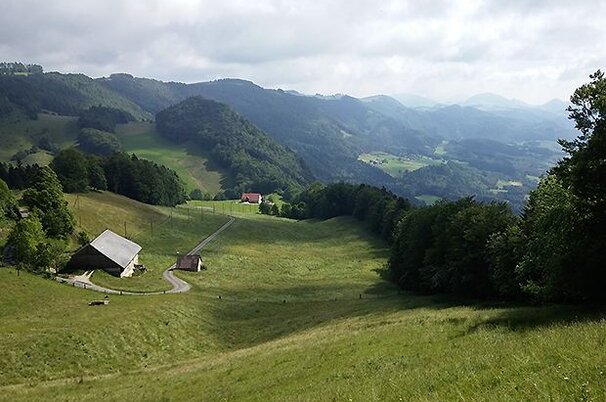 53451_8.jpg