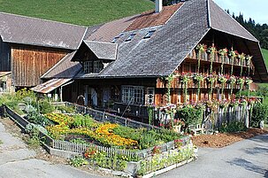 84369_8.jpg