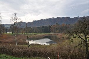 44202_8.jpg