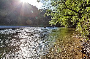 57351_8.jpg