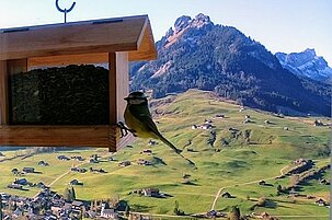 68200_8.jpg