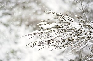 6fd458d0-db84-29ab-4990-43ff2eb6aa77-67456.jpeg