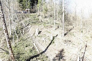 d8418245-f859-3545-9df4-7e3e19699b4a-81037.jpeg