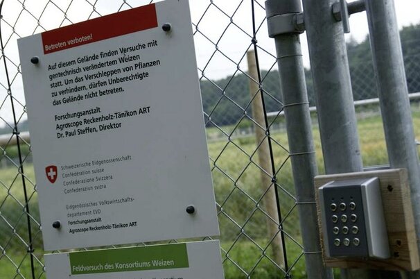 5982afac-6d10-82da-b6fa-25cbae94602e-55339.jpeg
