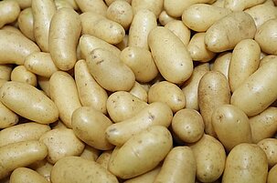 66352_8.jpg