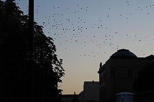 64740_8.jpg