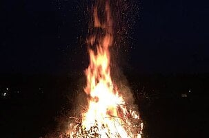 65354_8.jpg