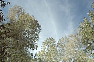 834_8.jpg