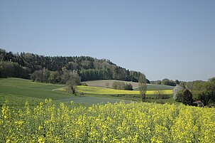 f90e0cf7-ae75-9ca8-8e7b-afe55d62c543-87423.jpeg