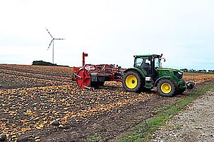 93977_8.jpg