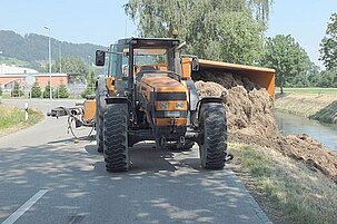 41369_8.jpg