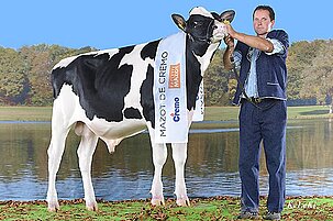 43107_8.jpg