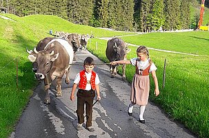 64293_8.jpg