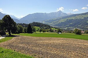 93588_8.jpg