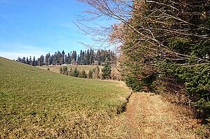 60133_8.jpg