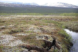 39690_8.jpg