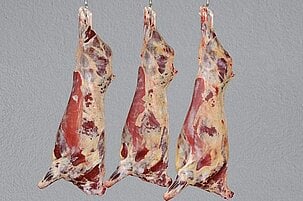 37073_8.jpg