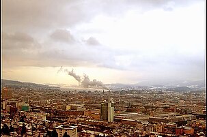 43176_8.jpg