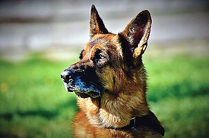 82664_8.jpg