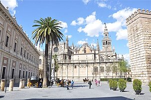 91461_8.jpg