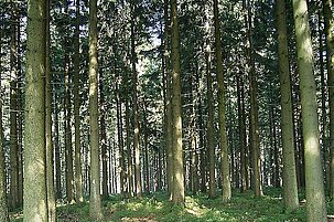 35614_8.jpg