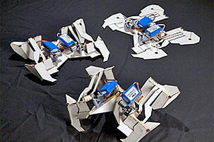 42237_8.jpg