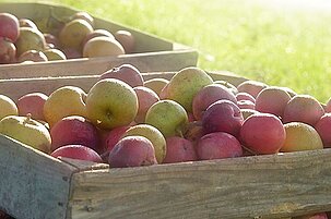 42501_8.jpg