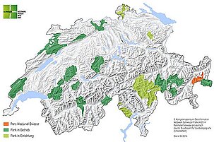 42785_8.jpg