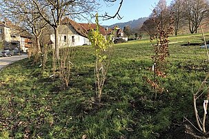 87920_8.jpg