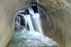 12401_8.jpg