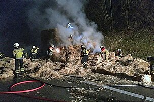 45196_8.jpg