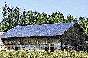 34509_8.jpg